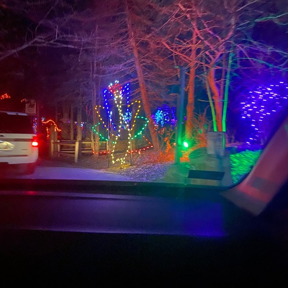 Meet your Posher, Aziza - Picture 2 of 2